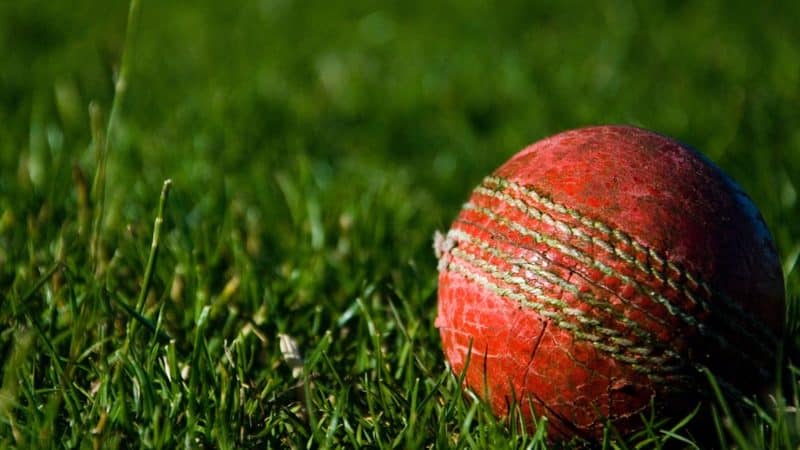Babonneau Leatherbacks vs South Castries Lions: St Lucia T10 Blast 2022 cricket odds and betting tips