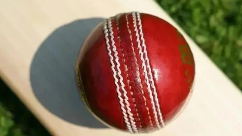 Seven Districts vs SA Sports Club Dream11 prediction – get fantasy tips for CBFS T-20 League 2023