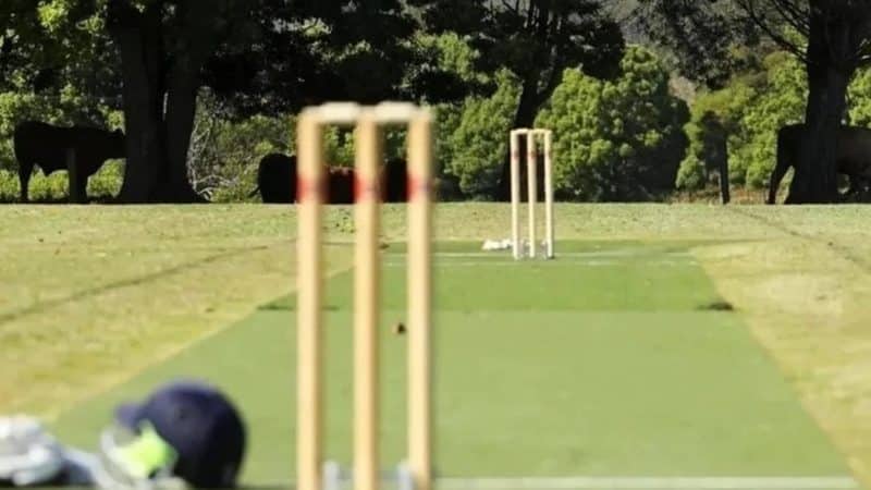 Lahore Qalandars vs Islamabad United Dream11 prediction – get fantasy tips for Pakistan Super League 2024