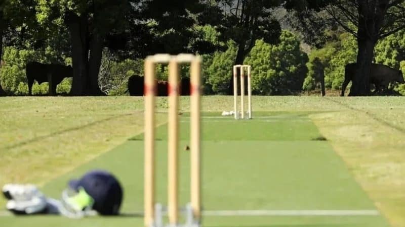 Shivamogga Lions vs Hubli Tigers Dream11 prediction &#8211; get Maharaja T20 Trophy 2023 fantasy tips