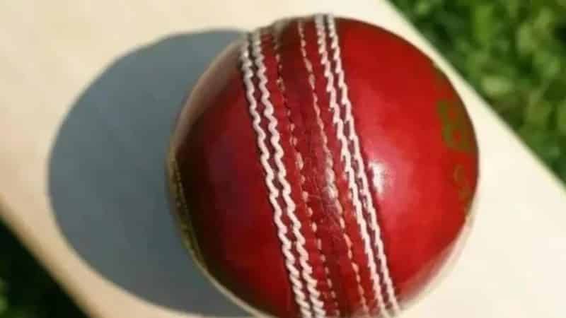 Essequibo Anacondas vs Demerara Hawks Dream11 prediction – get fantasy tips for Dream11 Guyana T10 Blast, 2024
