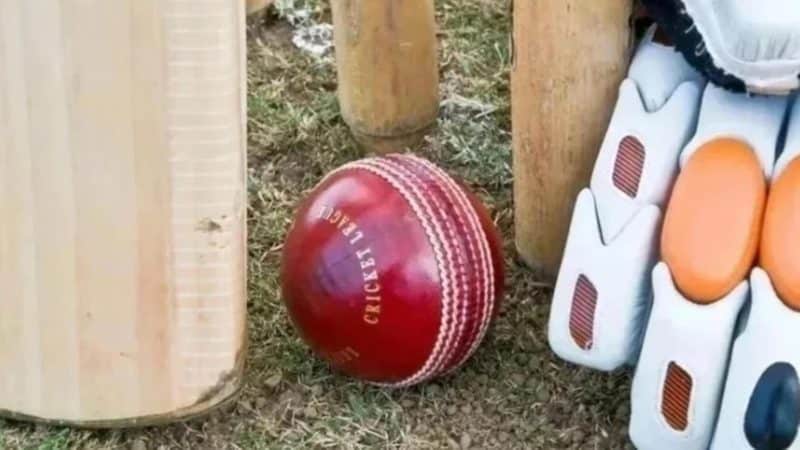 Oman vs Namibia Dream11 prediction – get fantasy tips for 2nd T20I, 2024