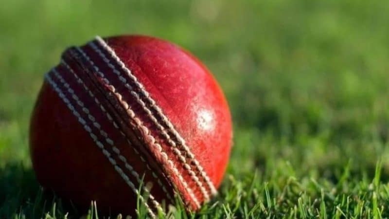 Live streaming, Arunachal Premier League T20 2024 begins on September 8: Where to watch &#8211; full schedule