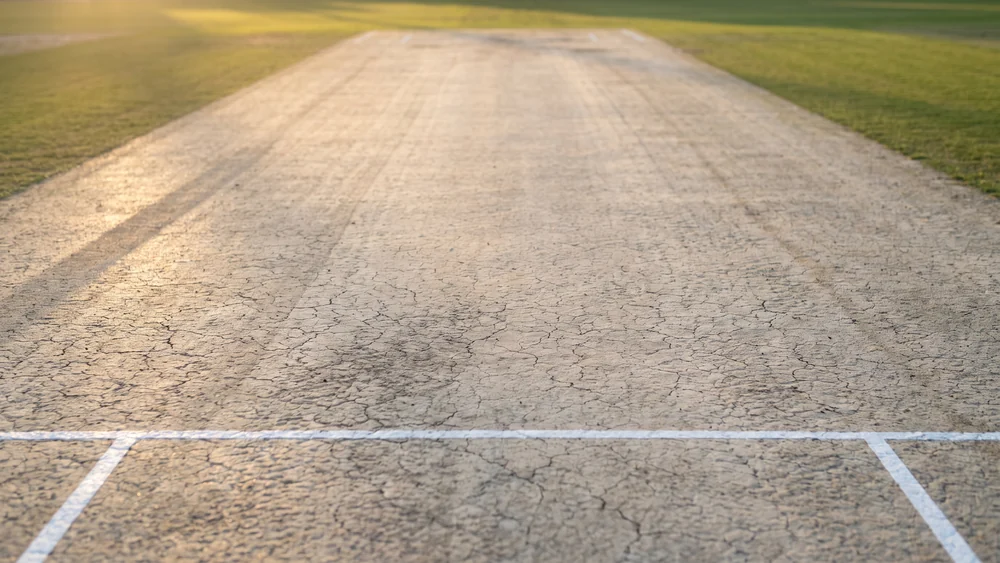 Cricket pitch and popping crease at dusk