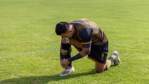 Reyna leaves the Bundesliga for three million euros, two months after his World Cup goal
